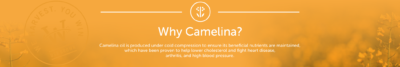 Wild Gold - Why Camelina?